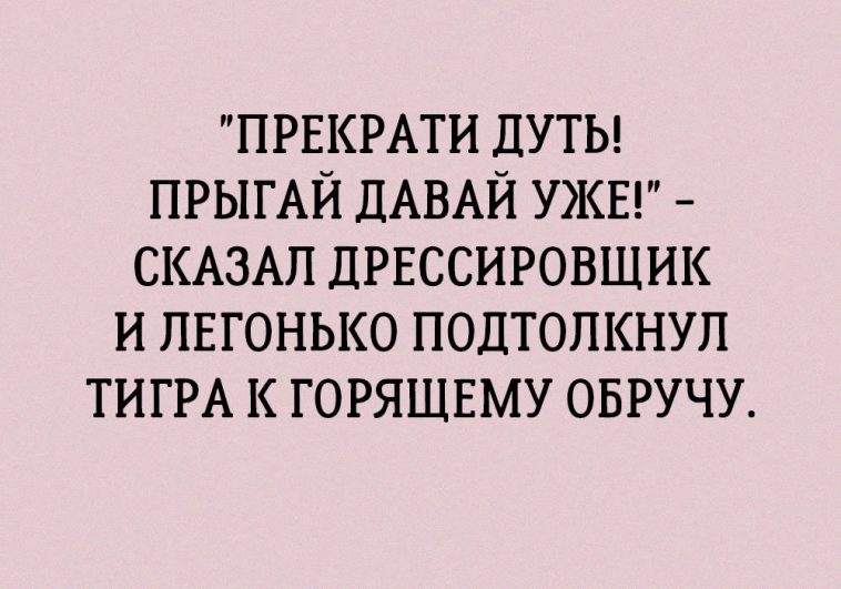 15 коротких историй с непредсказуемым финалом