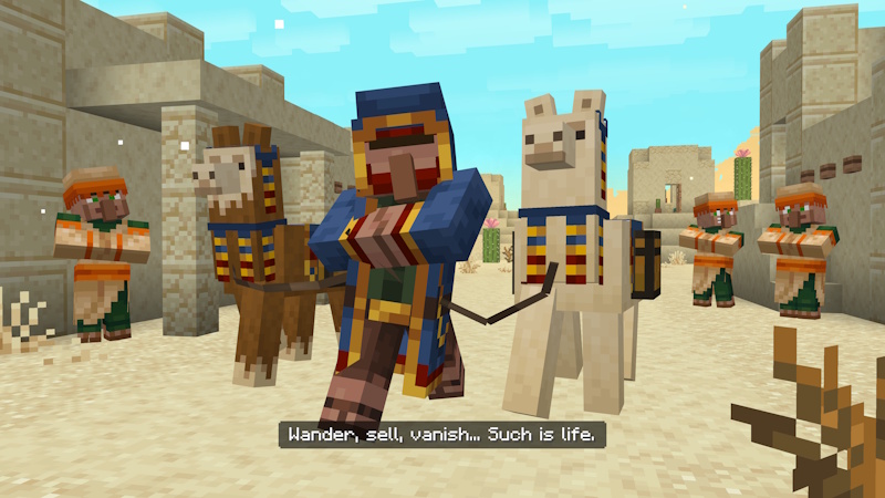 Image 10