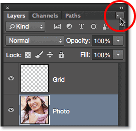 layers-panel-menu-icon
