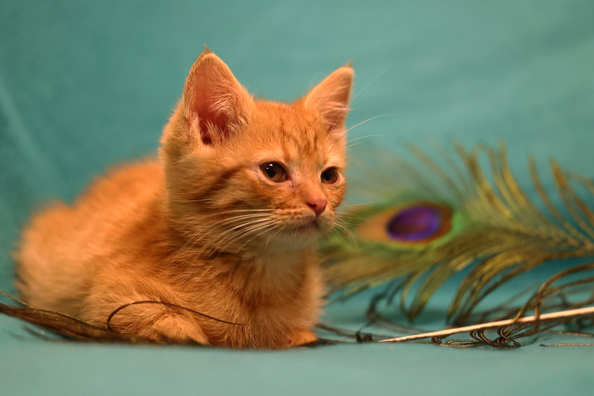 070323C1-6DA4-4386-A6B3-D9E5AB7230B2