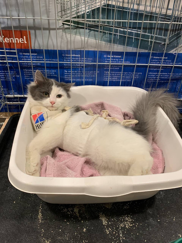 2B22E8AF-E8BE-4B16-8F4D-89808A886977