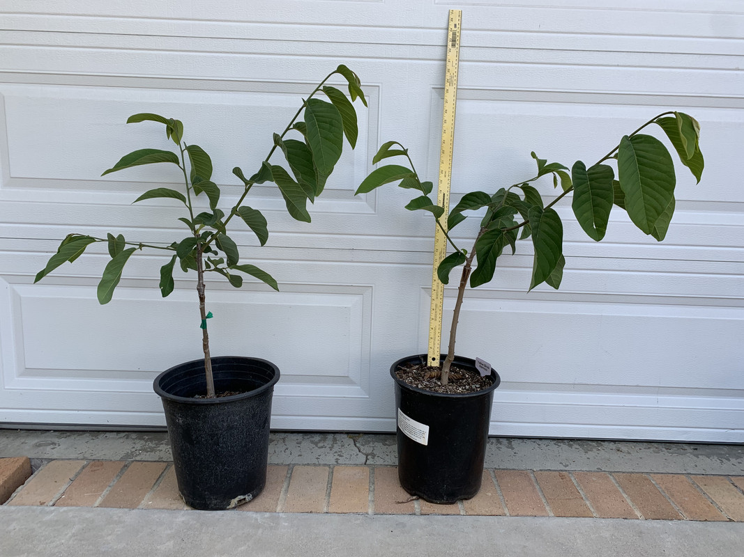 829A57CE-7229-4336-B6CE-70E5EF4B9519