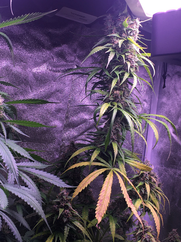 806F9E83-8C98-4DBF-9D11-B7E1EA6617BE