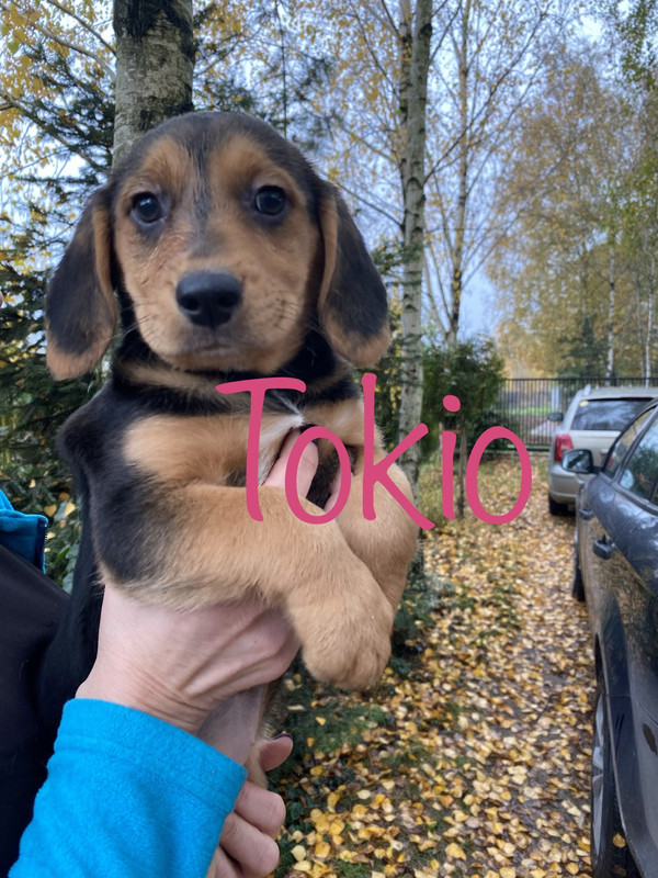 8D732C70-C110-4BEF-ABBF-3A6096DBC948