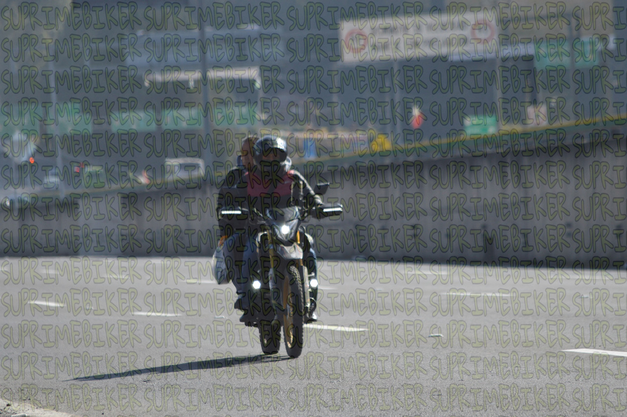 DSC 0241
