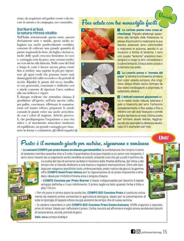 Pol Ver Set 2025 (8)