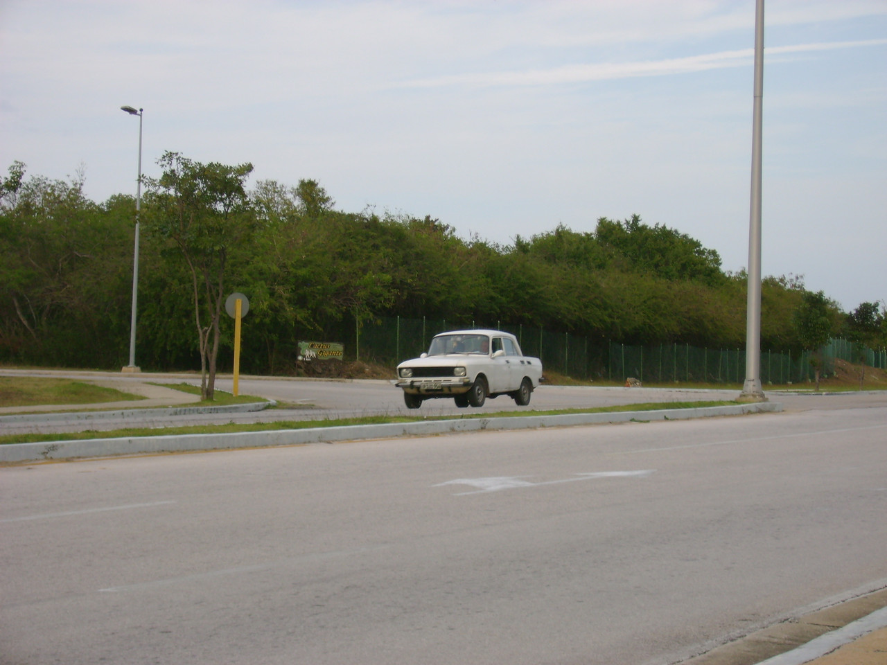 DSC06991