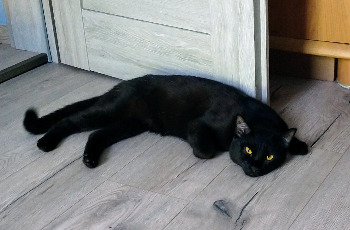 IMG_20250721_104123034~2