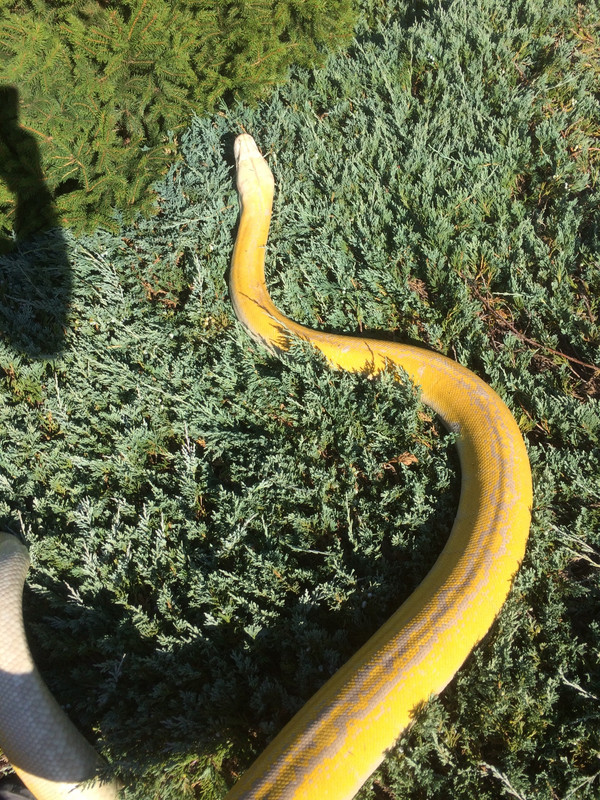 E1F8669E-661F-4D2A-A6DC-1F1314FBA141