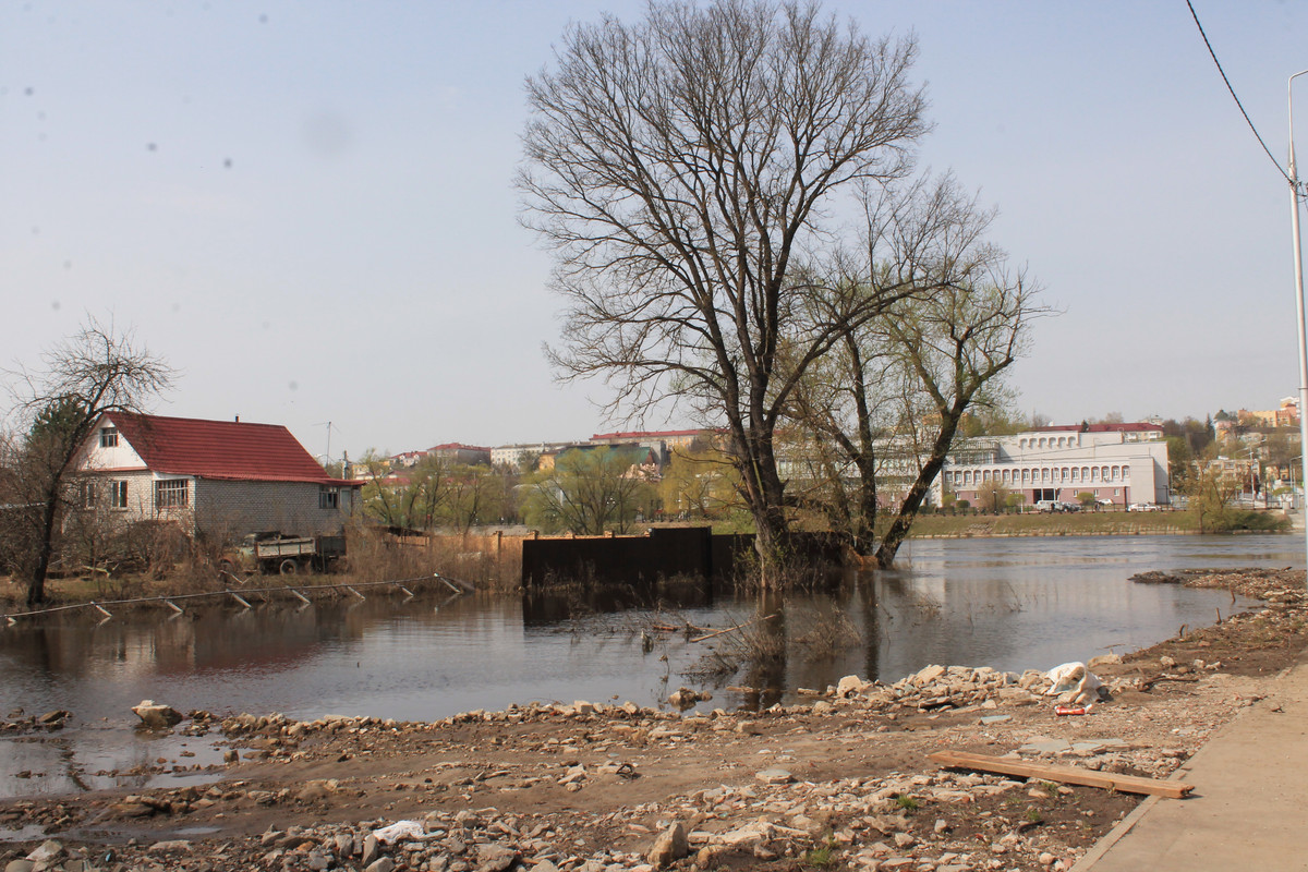 IMG-6873.jpg