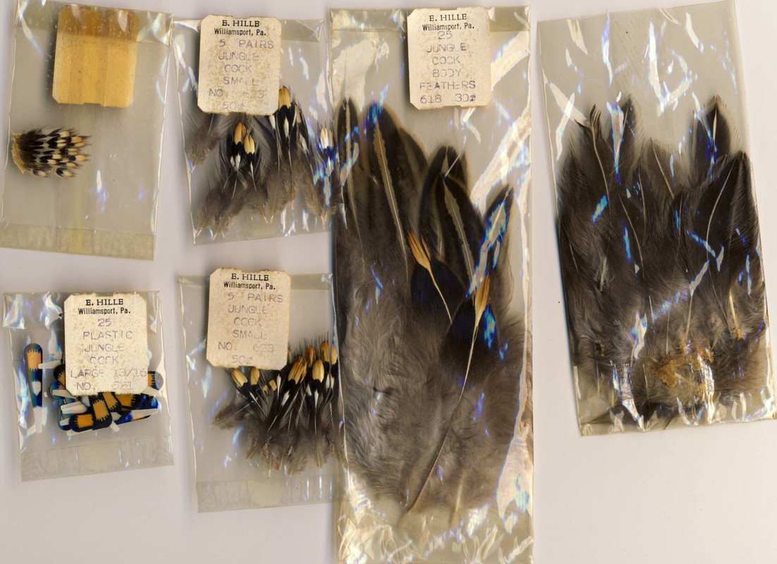 Jungle Cock Feathers