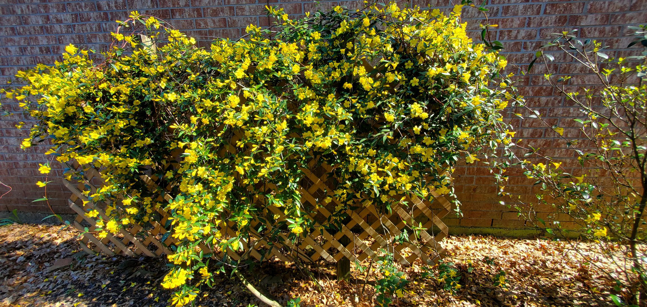 Resized 20260227 133923