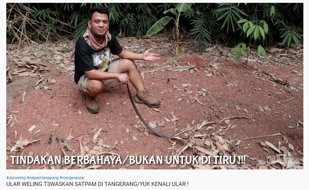 Panji menjelaskan tentang obat anti bisa ular