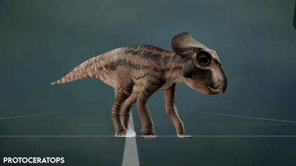 such uncomfortably large eyes the baby has