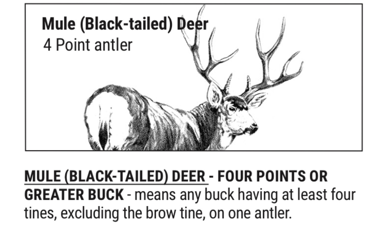 7A47BBFD-B8B6-4366-AB65-D989EA023FA5