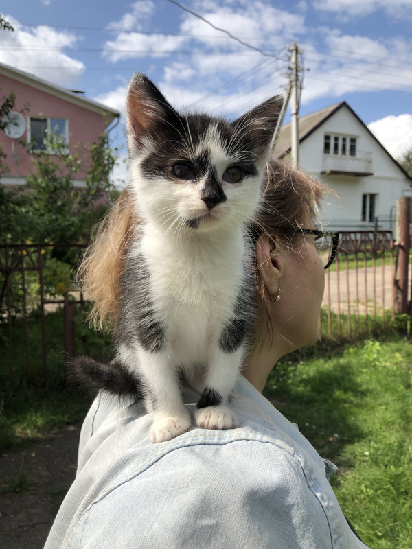 6C3DA4CA-1BEB-46BB-B521-E51C7C245534