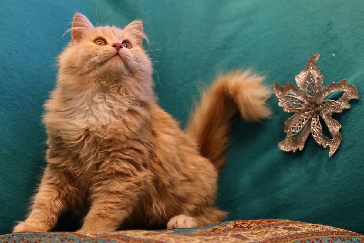 6AAE8D1F-EA93-4AD9-930D-8E0A506A5BD3