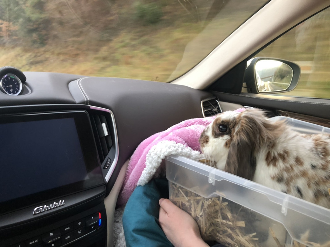 C4FC7A59-7E84-4CF8-9EFB-D9E836A0DE00