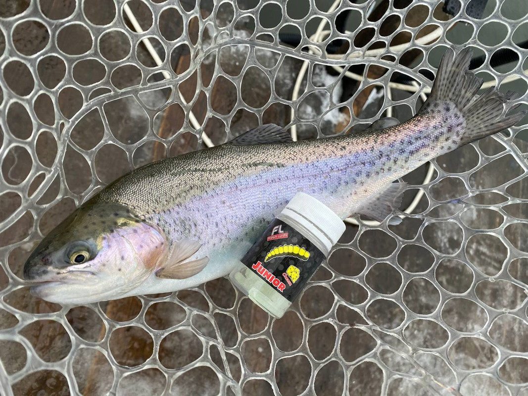 Fresh Lures, trout fishing lures, trout fishing lures plastic,