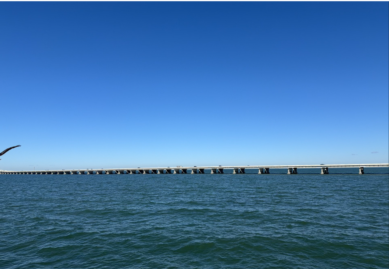 [Image: Sky-Way-Bridge-From-The-Fishing-Pier3.png]