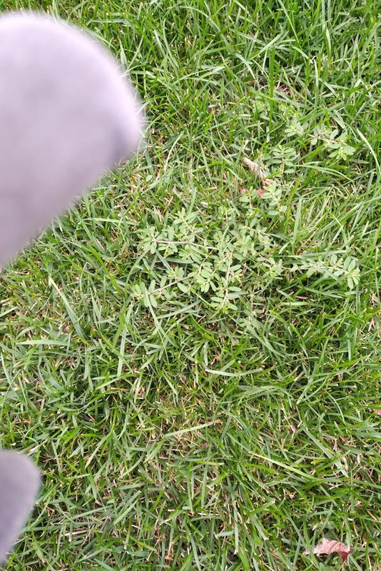 IMG_20180818_1649385