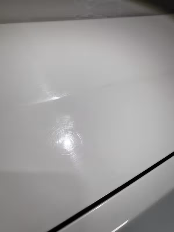 IMG-8155.avif