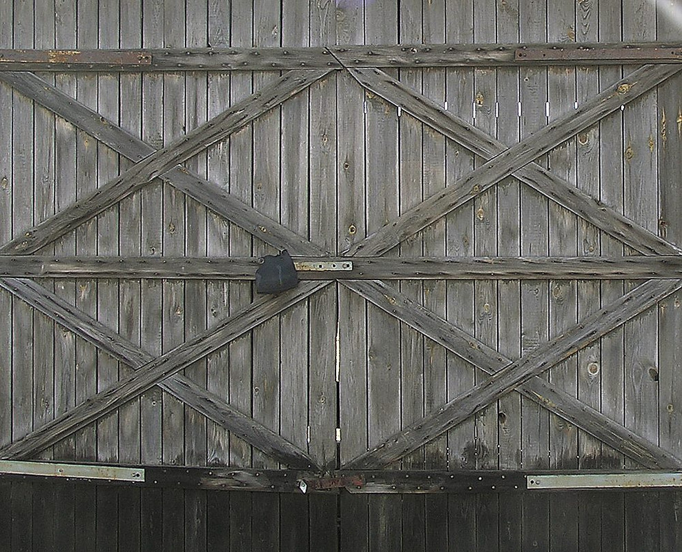 wood-texture-3dsmax (649)