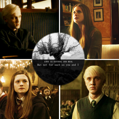 Draco X Ginny Deviantart