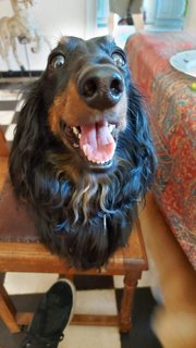 [Image: received-718992872282853.jpg]