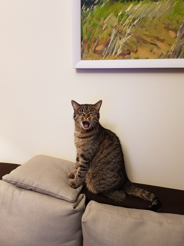 20201121-175225-0.jpg