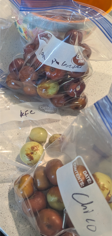 Screenshot_20251014-141828