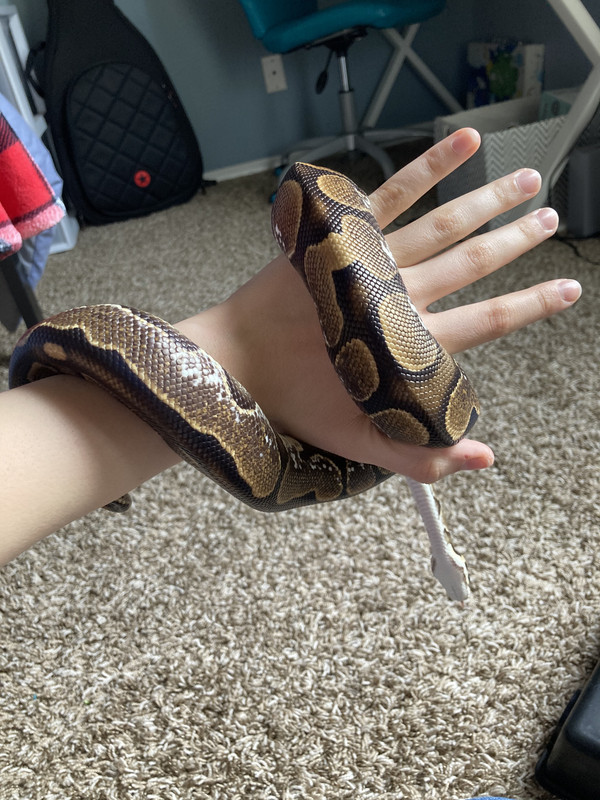 439A97B2-5F92-4B1B-A41B-430F8F9C32E3