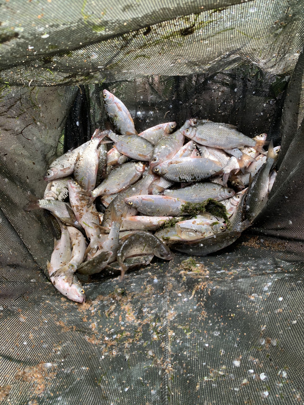 1834C9C5-2E3F-49AF-BEEC-D79ABE35490F