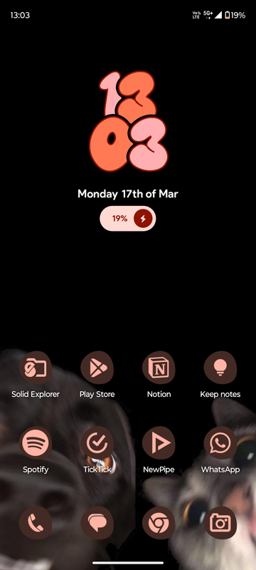 Screenshot_20250317-130311