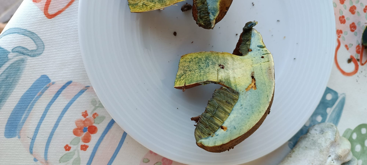 WhatsApp Image 2023-08-02 at 16.58.31 (1)