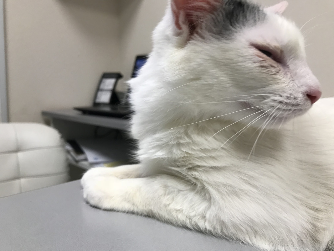 73DD41BA-856D-42D8-9D5A-5A4796363BFE