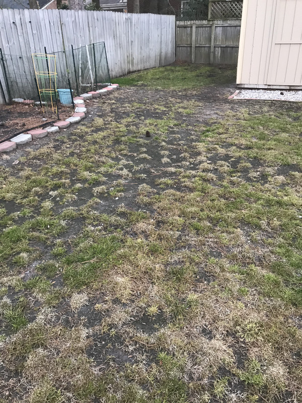 F540F207-5EBB-4095-BC7A-04101AEE6C56