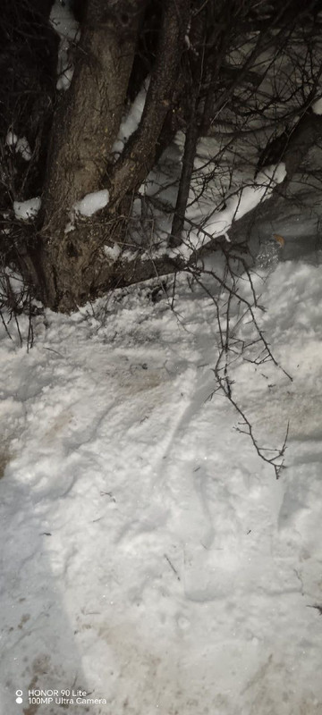 IMG 20260125 204602 107