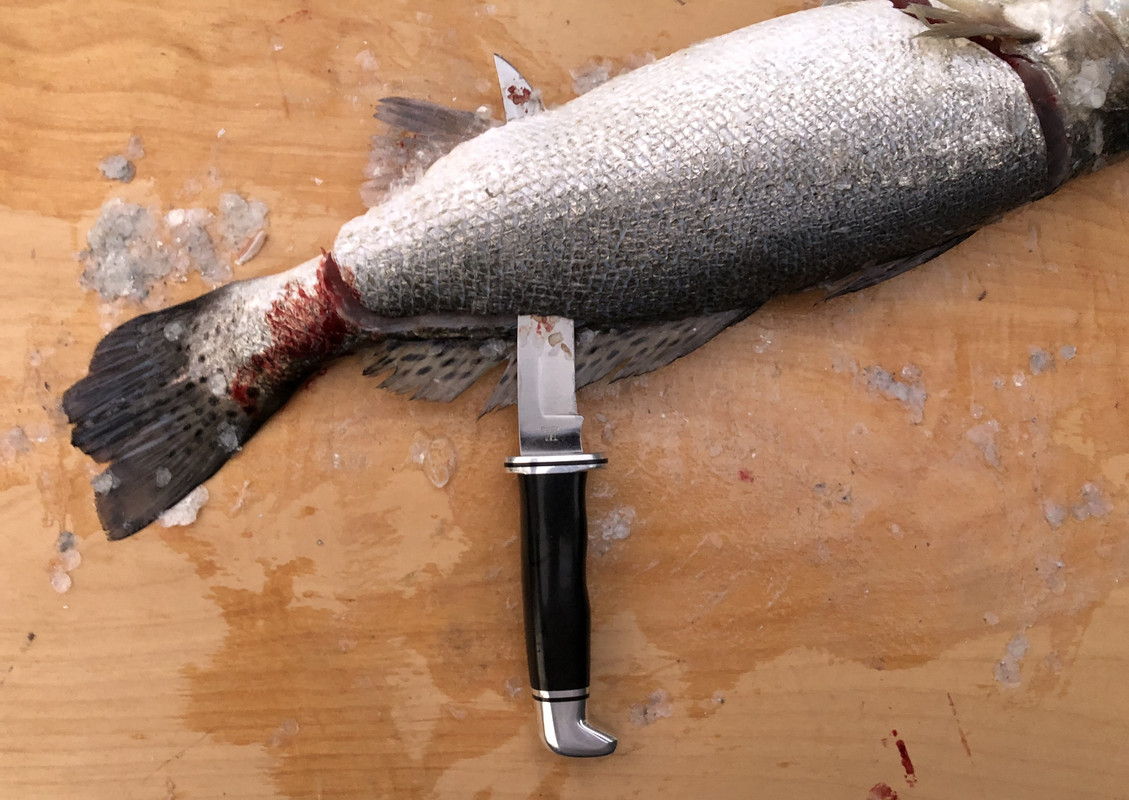 Buck-121-Fisherman-cleaning-Speck-11-30-19.jpg