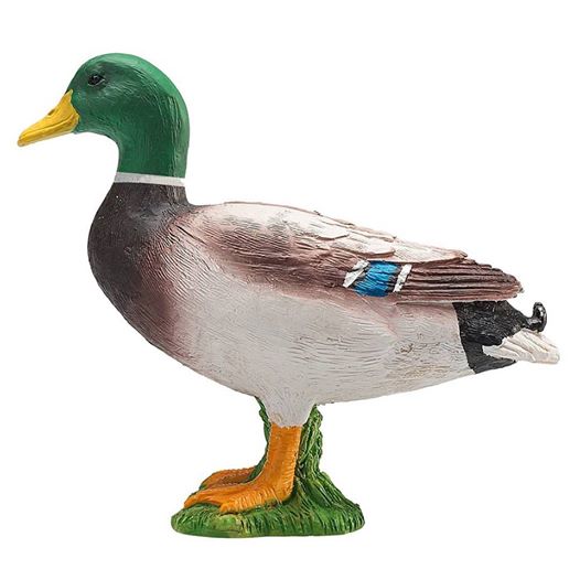 Mojö 2019 Mallard  47325081-2235613389790337-4496496829499703296-n