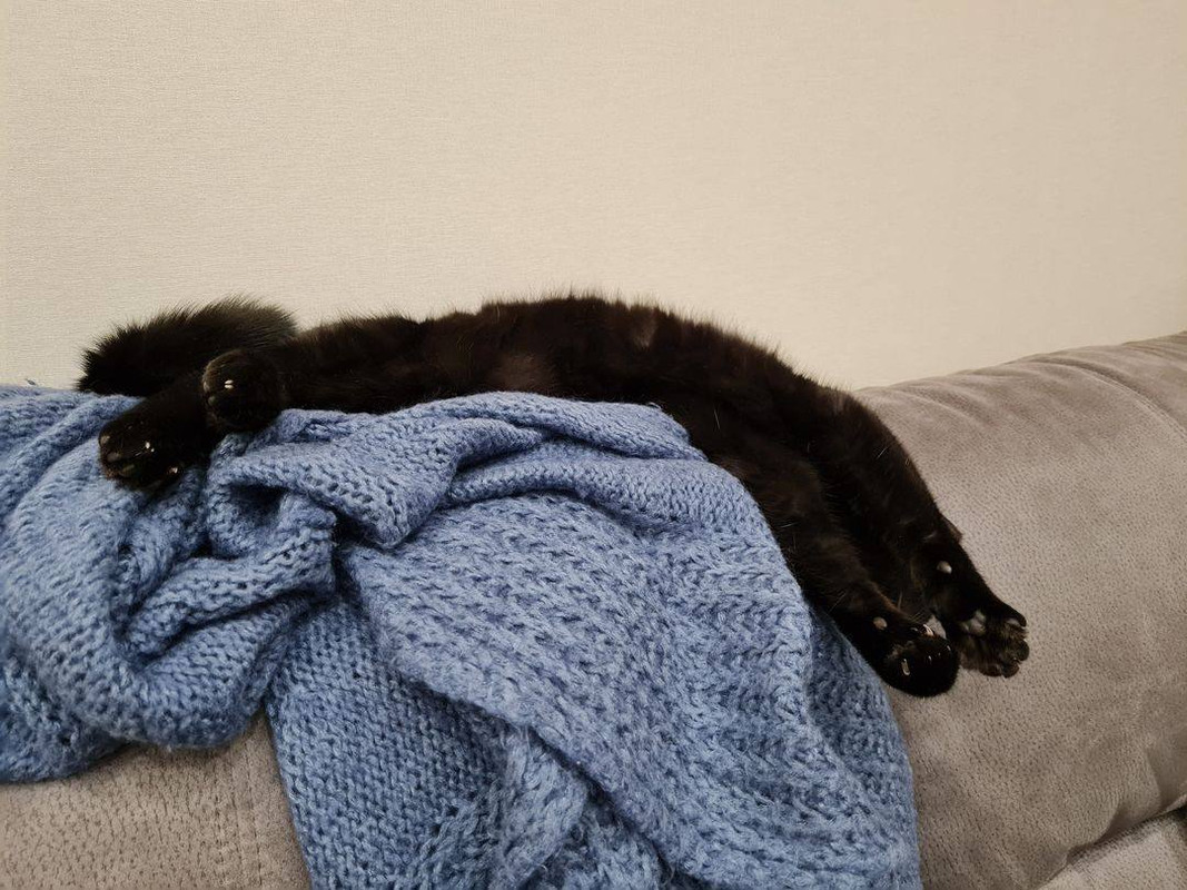 11AE178A-AEE5-4B50-ACA2-D193832134DF