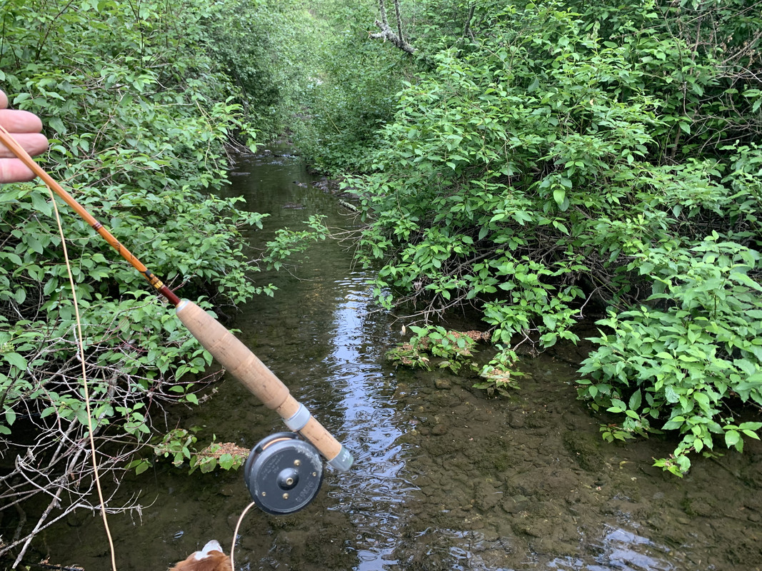 F9447790-3E37-4ED2-96BA-FA1BA461DBE5