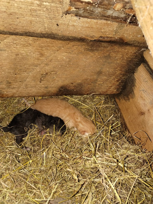 IMG_20250822_155636493