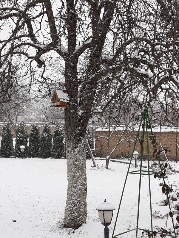 20181216_140821