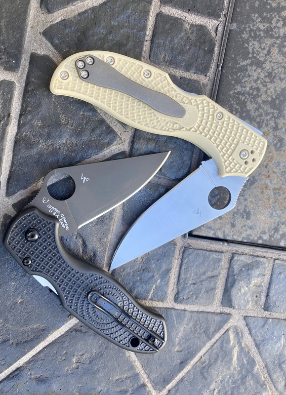 EDC19-B1-F-DCE9-4749-A1-E8-28-BA2-E5-F6910.jpg