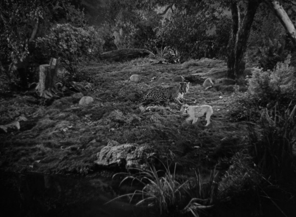 vlcsnap-2021-12-26-22h44m57s961