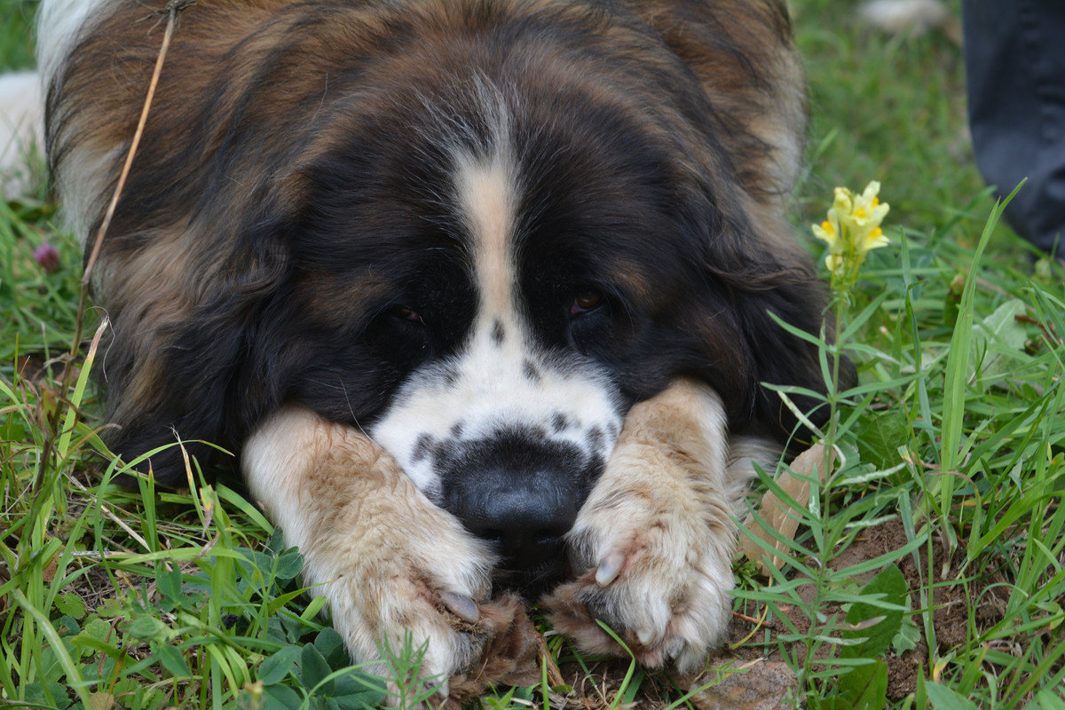 Ваня в ожидании ринга 3