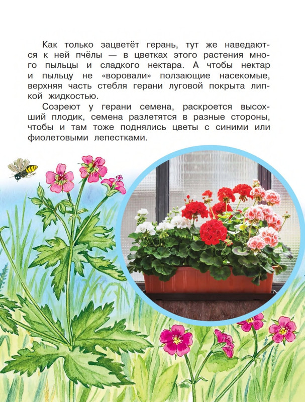 Onegov-Anatolij-Pochemu-kukushka-slozki-lot-page-0044