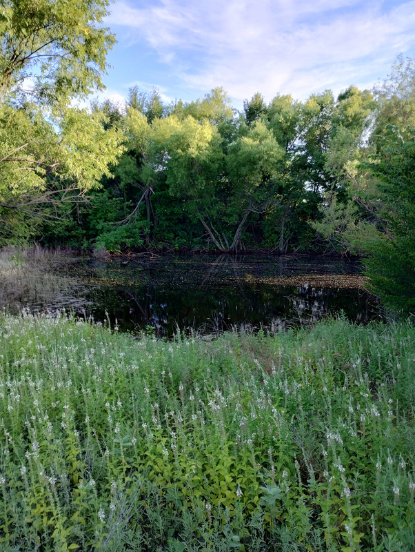 IMG_20250628_193230978_HDR