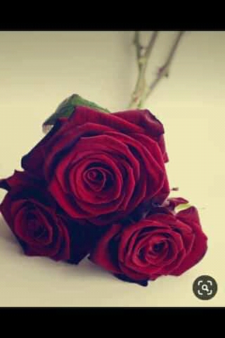 FB_IMG_15949336007674934